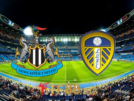 Soi kèo nhà cái, tỷ lệ kèo bóng đá: Newcastle vs Leeds – 22h00 – 31/12/2022